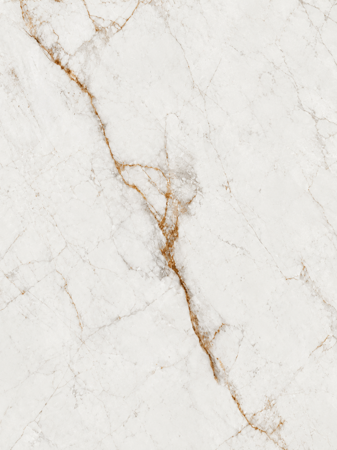 Sinterizado BLD1632R1206 — Carrara Gold Vein