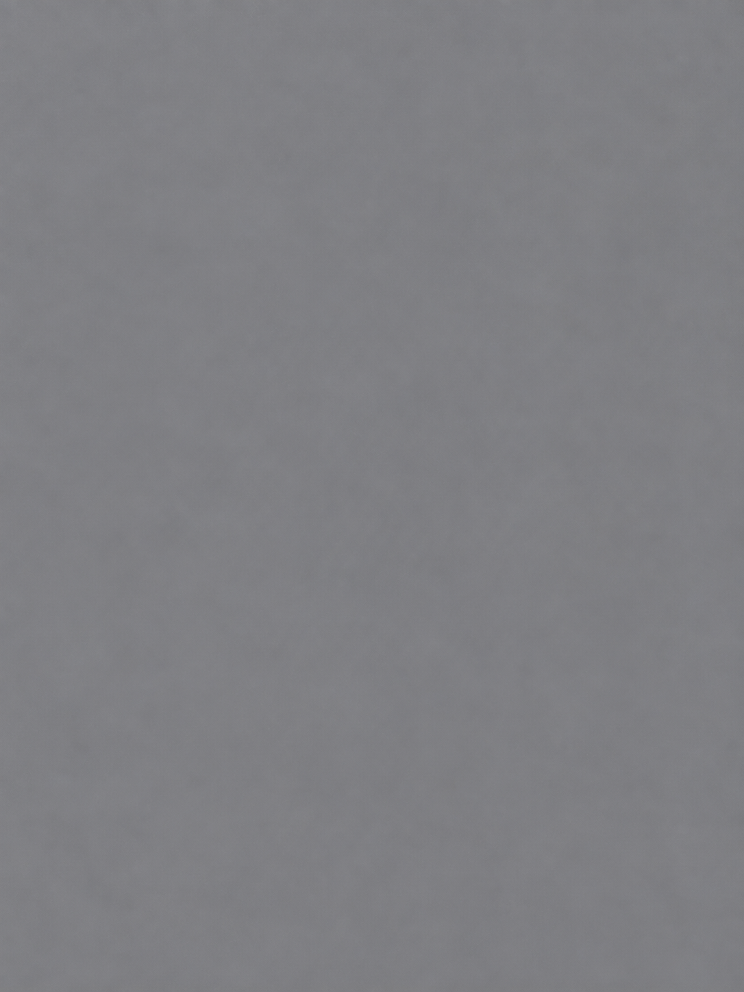 Sinterizado Z826Y1520 — Pure Gray Matt